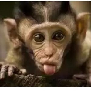 Meet your Posher, Kwang